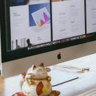 Vivamus a sapien vitae leo ultricies euismod eu at erat