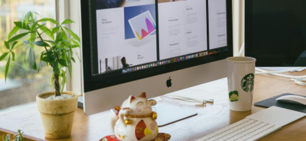 Vivamus a sapien vitae leo ultricies euismod eu at erat